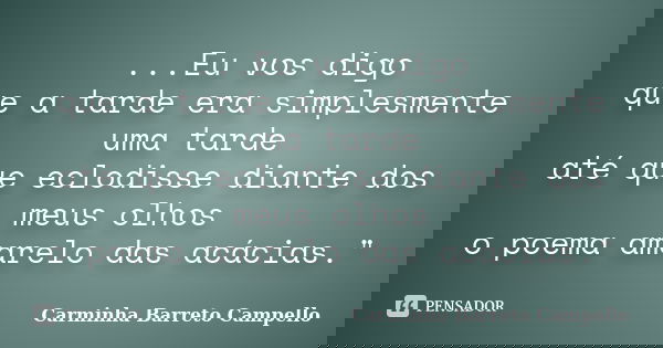 ...Eu vos digo que a tarde era simplesmente uma tarde até que eclodisse diante dos meus olhos o poema amarelo das acácias."... Frase de Carminha Barreto Campello.