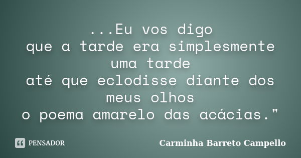 ...Eu vos digo que a tarde era simplesmente uma tarde até que eclodisse diante dos meus olhos o poema amarelo das acácias."... Frase de Carminha Barreto Campello.