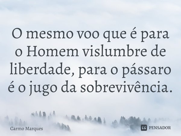 ⁠O mesmo voo que é para o Homem vislumbre de liberdade, para o pássaro é o jugo da sobrevivência.... Frase de Carmo Marques.