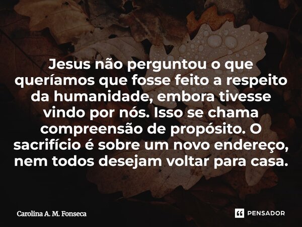 Jesus não perguntou o que queríamos que fosse feito a respeito da humanidade, embora tivesse vindo por nós. Isso se chama compreensão de propósito. O sacrifíci... Frase de Carolina A. M. Fonseca.