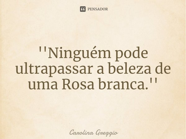 ⁠''Ninguém pode ultrapassar a beleza de uma Rosa branca.''... Frase de Carolina Greggio.