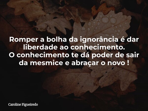 Romper a bolha da ignorância é dar liberdade ao conhecimento. O conhecimento te dá poder de sair da mesmice e abraçar o novo !... Frase de Caroline Figueiredo.