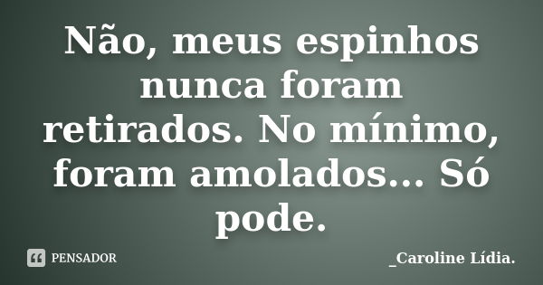 Não, meus espinhos nunca foram retirados. No mínimo, foram amolados... Só pode.... Frase de _Caroline Lídia..