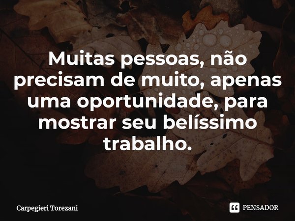 ⁠Muitas pessoas, não precisam de muito, apenas uma oportunidade, para mostrar seu belíssimo trabalho.... Frase de Carpegieri Torezani.