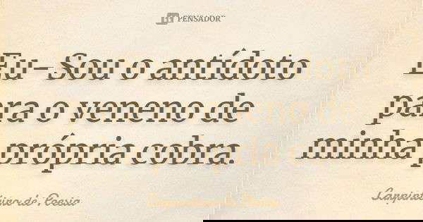 Eu-Sou o antídoto para o veneno de minha própria cobra.... Frase de Carpinteiro de Poesia.