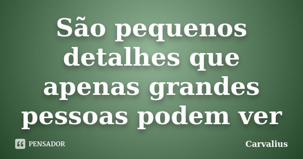 São pequenos detalhes que apenas grandes pessoas podem ver... Frase de Carvalius.