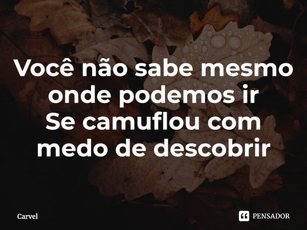 ⁠Você não sabe mesmo onde podemos ir
Se camuflou com medo de descobrir... Frase de Carvel.