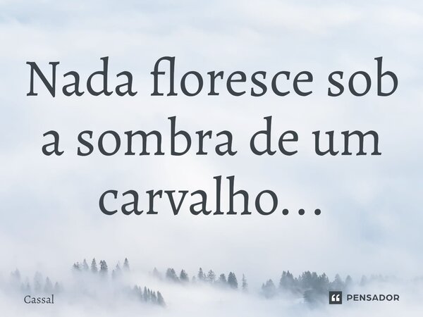 ⁠Nada floresce sob a sombra de um carvalho...... Frase de Cassal.