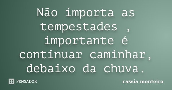 Não importa as tempestades , importante é continuar caminhar, debaixo da chuva.... Frase de Cassia Monteiro.