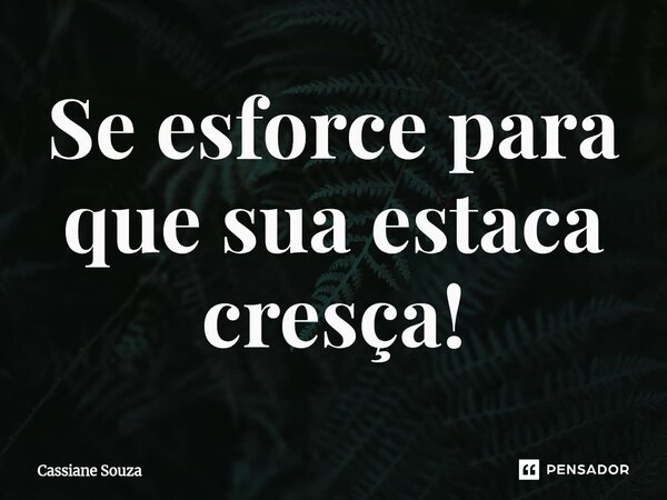 ⁠⁠Se esforce para que sua estaca cresça!... Frase de Cassiane Souza.