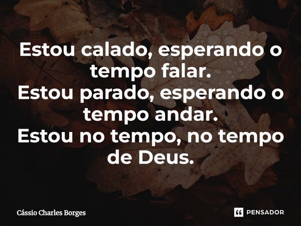 ⁠Estou calado, esperando o tempo falar. Estou parado, esperando o tempo andar. Estou no tempo, no tempo de Deus.... Frase de Cássio Charles Borges.