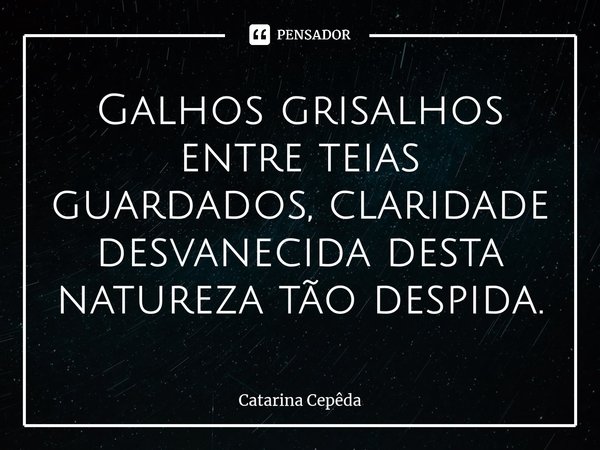 ⁠Galhos grisalhos entre teias guardados, claridade desvanecida desta natureza tão despida.... Frase de Catarina Cepêda.