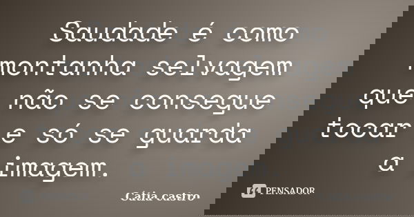 Saudade é como montanha selvagem que não se consegue tocar e só se guarda a imagem.... Frase de Cátia castro.