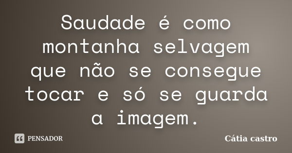 Saudade é como montanha selvagem que não se consegue tocar e só se guarda a imagem.... Frase de Cátia castro.