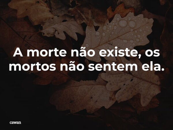 A morte não existe, os mortos não sentem ela.⁠... Frase de cawan.