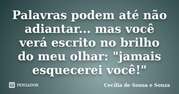 Palavras podem até não adiantar... mas você verá escrito no brilho do meu olhar: "jamais esquecerei você!"... Frase de Cecília de Sousa e Souza.