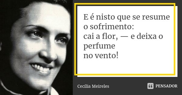 E é nisto que se resume o sofrimento: cai a flor, — e deixa o perfume no vento!... Frase de Cecília Meireles.