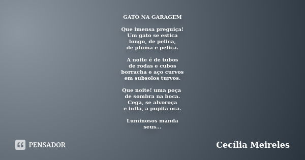 GATO NA GARAGEM Que imensa preguiça! Um gato se estica longo, de pelica, de pluma e peliça. A noite é de tubos de rodas e cubos borracha e aço curvos em subsolo... Frase de Cecília Meireles.