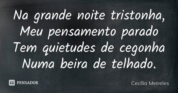 Na grande noite tristonha, Meu pensamento parado Tem quietudes de cegonha Numa beira de telhado.... Frase de Cecília Meireles.