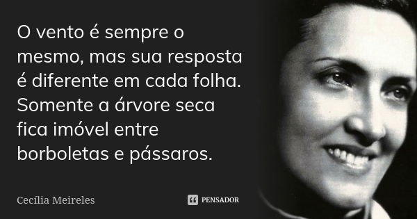 O vento é sempre o mesmo, mas sua resposta é diferente em cada folha. Somente a árvore seca fica imóvel entre borboletas e pássaros.... Frase de Cecilia Meireles.