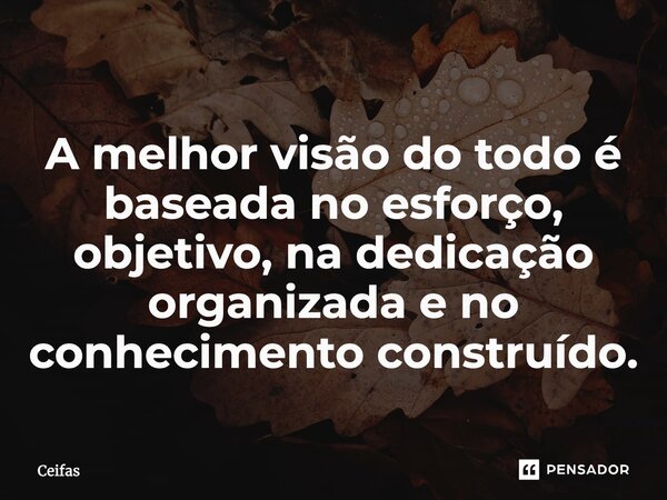 ⁠A melhor visão do todo é baseada no esforço, objetivo, na dedicação organizada e no conhecimento construído.... Frase de Ceifas.