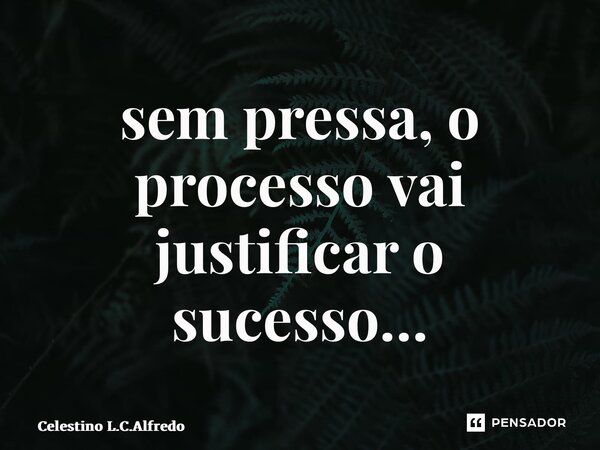 ⁠sem pressa, o processo vai justificar o sucesso…... Frase de Celestino L.C.Alfredo.
