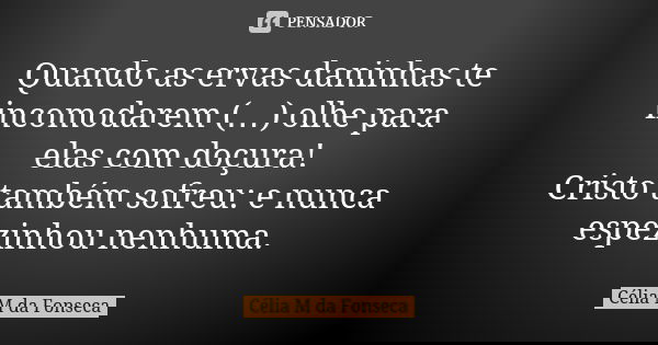 Quando as ervas daninhas te incomodarem (…) olhe para elas com doçura! Cristo também sofreu: e nunca espezinhou nenhuma.... Frase de Célia M da Fonseca.