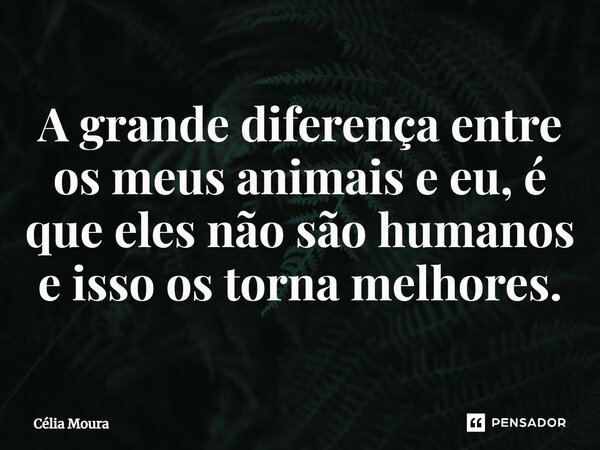 ⁠A grande diferença entre os meus animais e eu, é que eles não são humanos e isso os torna melhores.... Frase de Célia Moura.