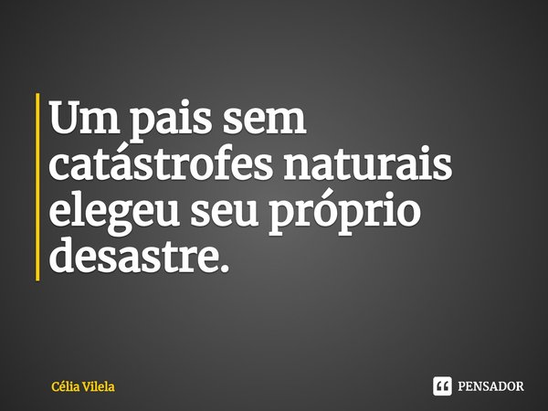 ⁠Um pais sem catástrofes naturais elegeu seu próprio desastre.... Frase de Célia Vilela.