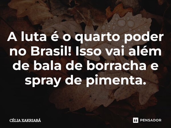 A luta é o quarto poder no Brasil! Isso vai além de bala de borracha e spray de pimenta.... Frase de CÉLIA XAKRIABÁ.