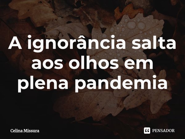 ⁠A ignorância salta aos olhos em plena pandemia... Frase de Celina Missura.