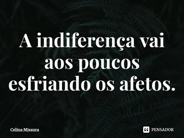 ⁠A indiferença vai aos poucos esfriando os afetos.... Frase de Celina Missura.
