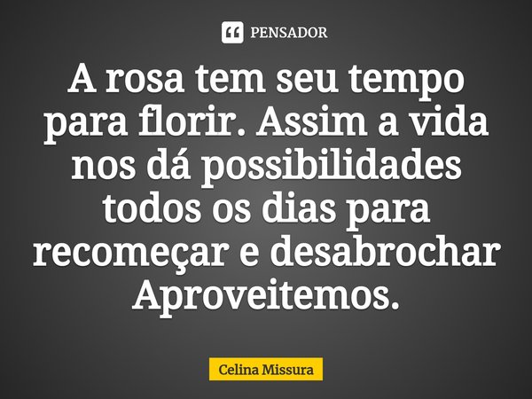 ⁠A rosa tem seu tempo para florir. Assim a vida nos dá possibilidades todos os dias para recomeçar e desabrochar Aproveitemos.... Frase de Celina Missura.