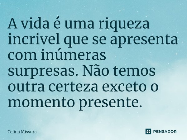 ⁠A vida é uma riqueza incrivel que se apresenta com inúmeras surpresas. Não temos outra certeza exceto o momento presente.... Frase de Celina Missura.