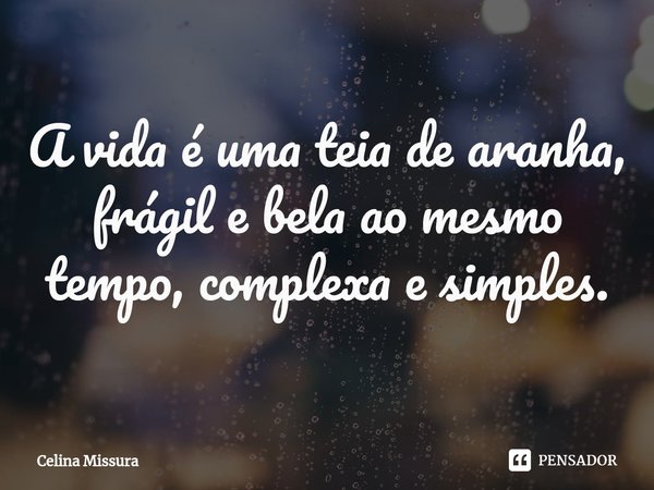 ⁠A vida é uma teia de aranha, frágil e bela ao mesmo tempo, complexa e simples.... Frase de Celina Missura.