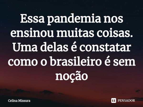 ⁠Essa pandemia nos ensinou muitas coisas. Uma delas é constatar como o brasileiro é sem noção... Frase de Celina Missura.