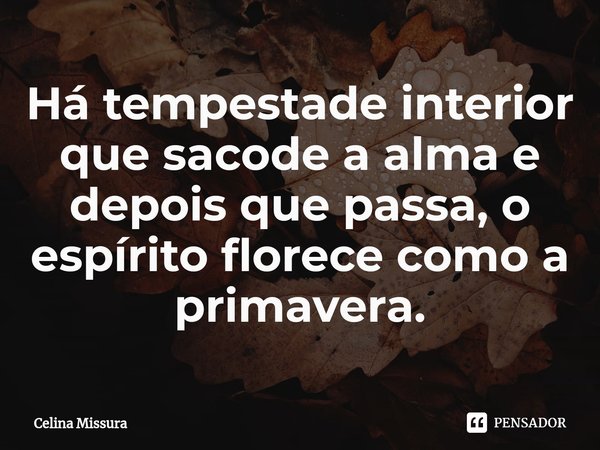⁠Há tempestade interior que sacode a alma e depois que passa, o espírito florece como a primavera.... Frase de Celina Missura.