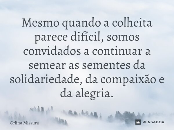 ⁠Mesmo quando a colheita parece difícil, somos convidados a continuar a semear as sementes da solidariedade, da compaixão e da alegria.... Frase de Celina Missura.