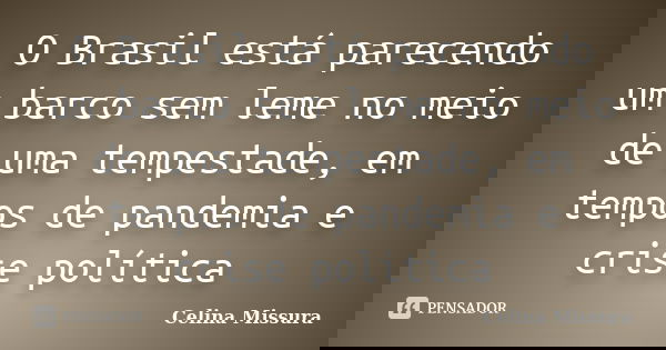 O Brasil está parecendo um barco sem leme no meio de uma tempestade, em tempos de pandemia e crise política... Frase de Celina Missura.