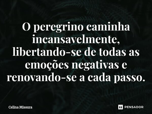 ⁠O peregrino caminha incansavelmente, libertando-se de todas as emoções negativas e renovando-se a cada passo.... Frase de Celina Missura.