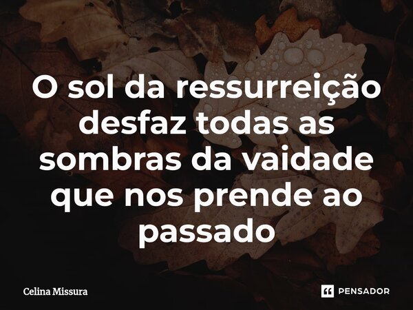 ⁠O sol da ressurreição desfaz todas as sombras da vaidade que nos prende ao passado... Frase de Celina Missura.