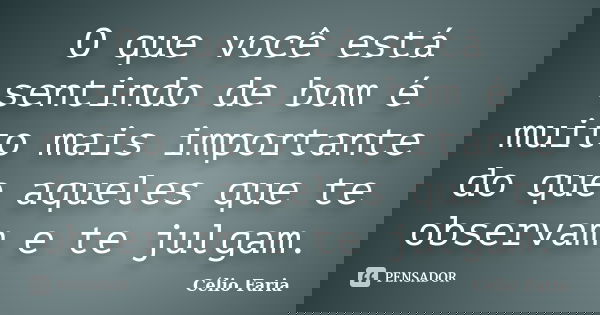 O que você está sentindo de bom é muito mais importante do que aqueles que te observam e te julgam.... Frase de Célio Faria.