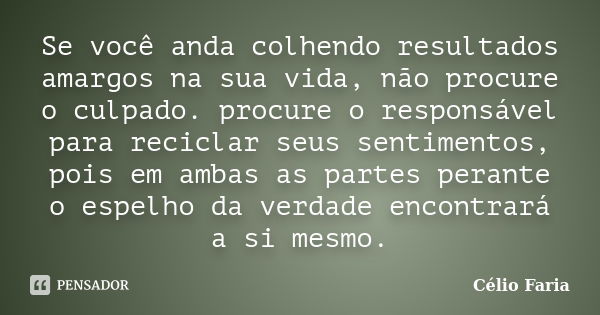 Se você anda colhendo resultados amargos na sua vida, não procure o culpado. procure o responsável para reciclar seus sentimentos, pois em ambas as partes peran... Frase de Célio Faria.