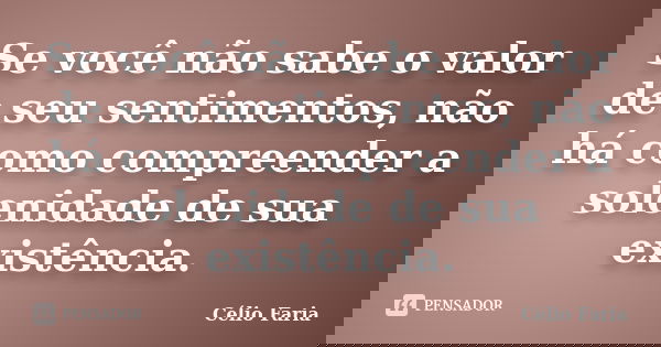 Se você não sabe o valor de seu sentimentos, não há como compreender a solenidade de sua existência.... Frase de Célio Faria.