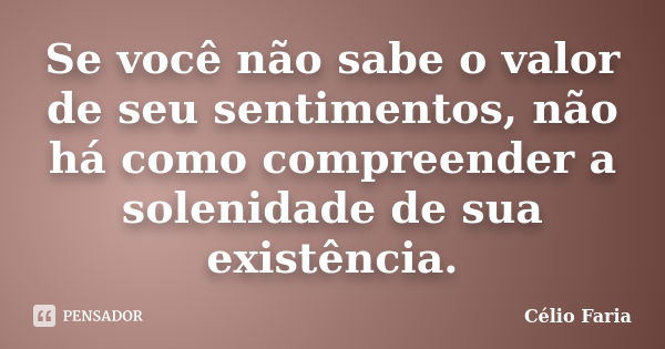 Se você não sabe o valor de seu sentimentos, não há como compreender a solenidade de sua existência.... Frase de Célio Faria.