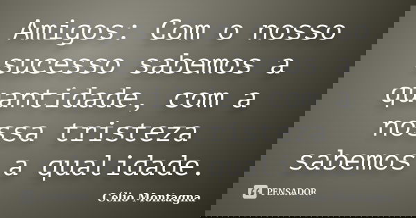 Amigos: Com o nosso sucesso sabemos a quantidade, com a nossa tristeza sabemos a qualidade.... Frase de Célio Montagna.