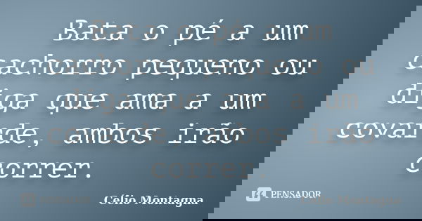 Bata o pé a um cachorro pequeno ou diga que ama a um covarde, ambos irão correr.... Frase de Célio Montagna.