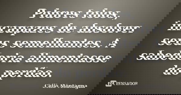 Pobres tolos, incapazes de absolver seus semelhantes. A sabedoria alimentasse do perdão.... Frase de Célio Montagna.