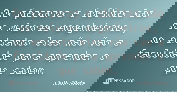 Os pássaros e abelhas são os maiores engenheiros, no entanto eles não vão a faculdade para aprender o que sabem.... Frase de Cello Vieira.