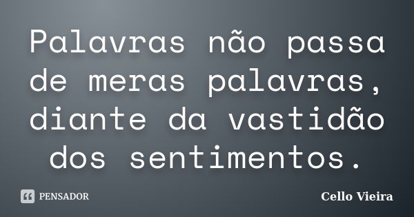 Palavras não passa de meras palavras, diante da vastidão dos sentimentos.... Frase de Cello Vieira.